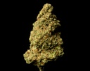 Gelato