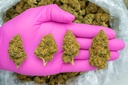 Pure Kush