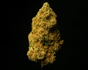 Pure Kush