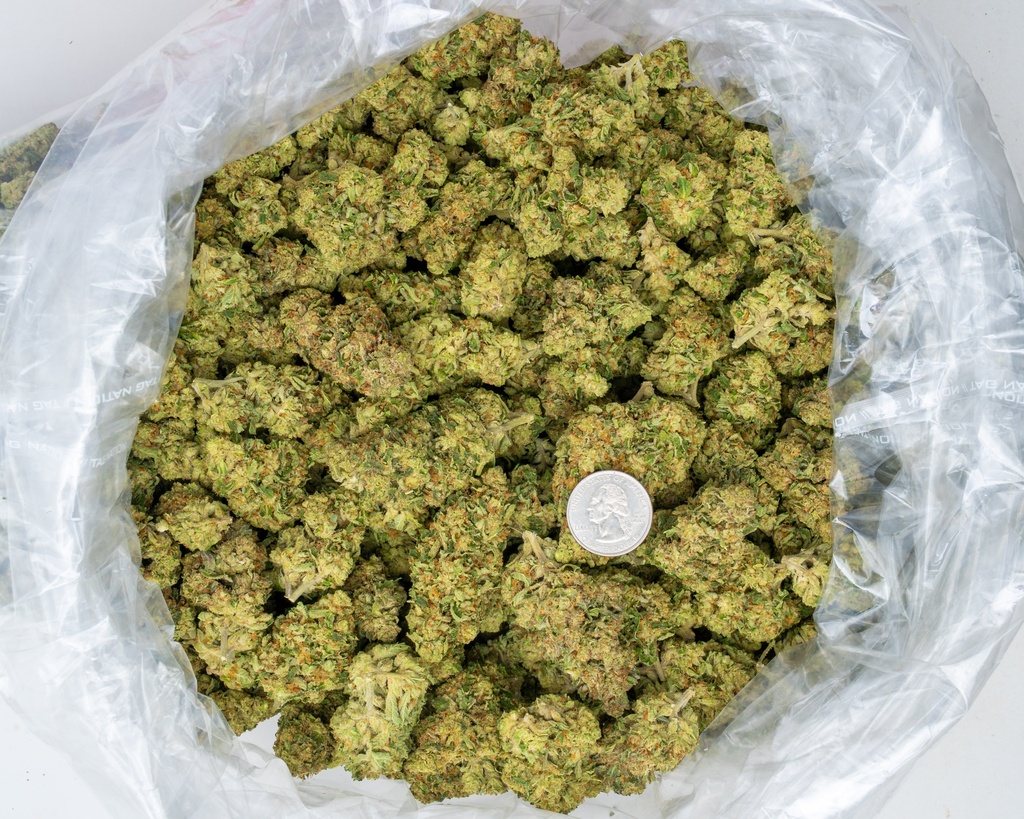 Skittlez