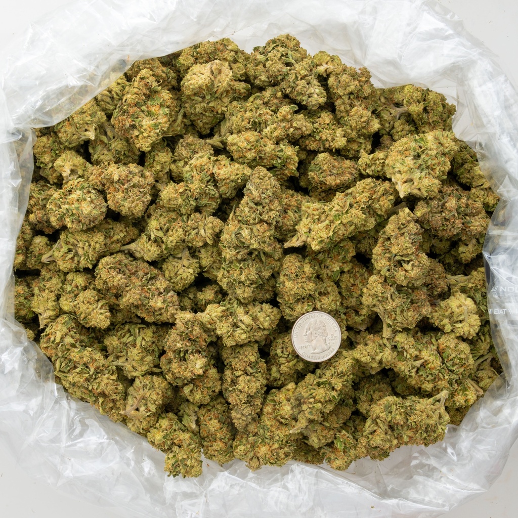 Skittlez
