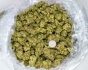 Skittlez