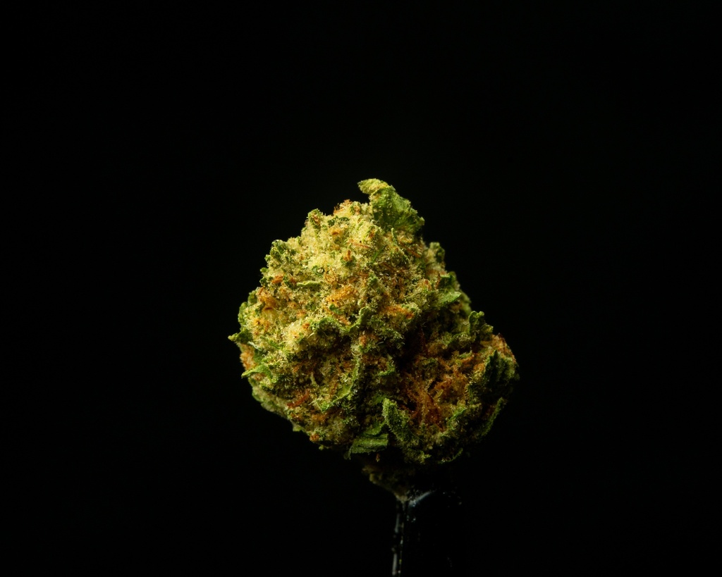 Mimosa Smalls