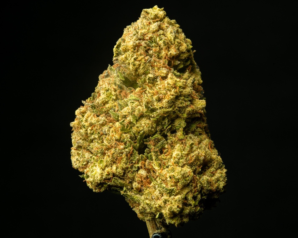 Banana Cooler 