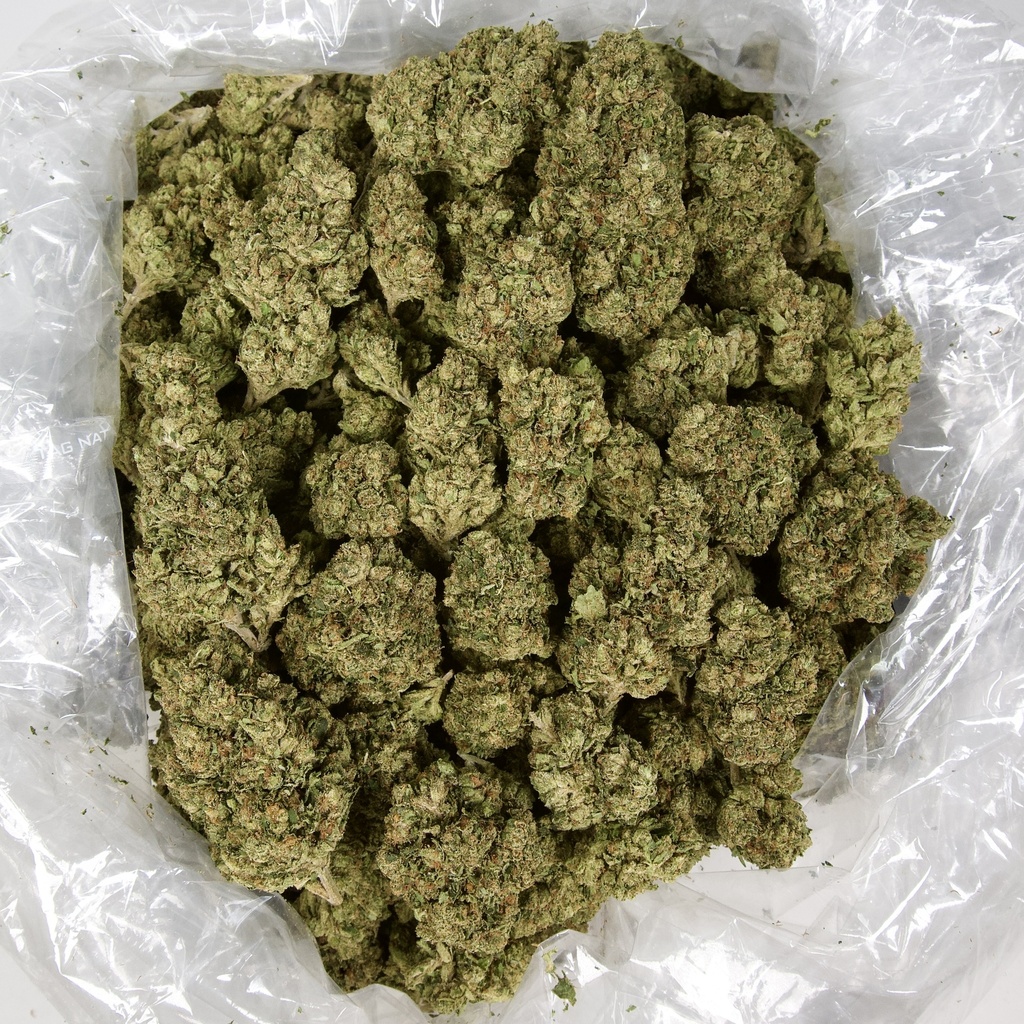 Alien OG