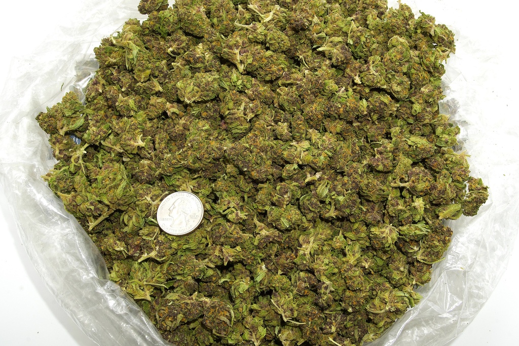 Fruity Pebbles Smalls (CBD)