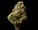 Black Cherry Cheesecake Indoor