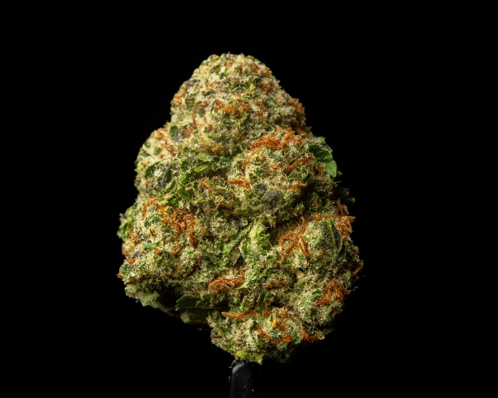 Illemonati Indoor