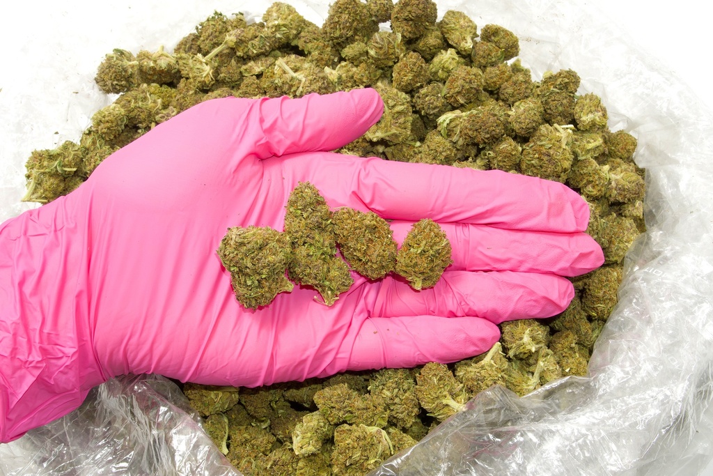 Cookies (CBD)