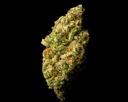 Og Cherry Indoor