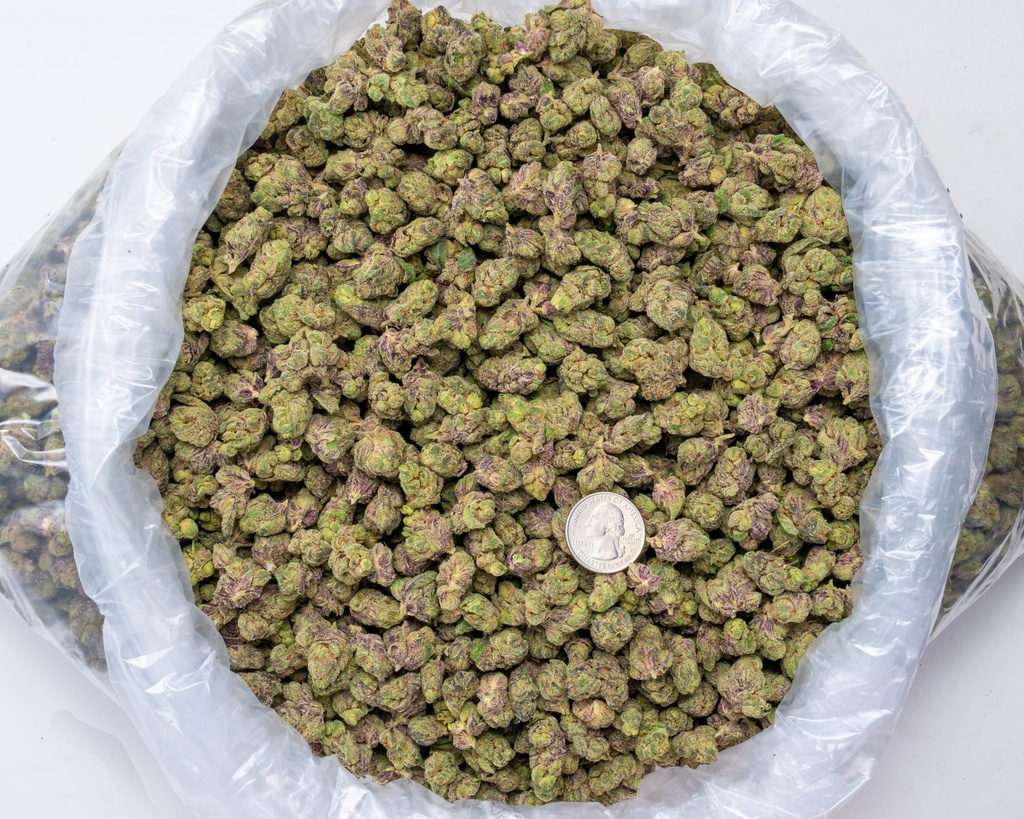 Obama Runtz Indoor Smalls
