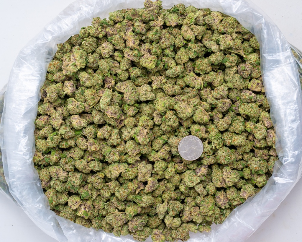Jokerz Candy Indoor Smalls