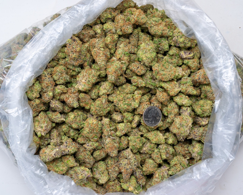 Mendo Breath Indoor