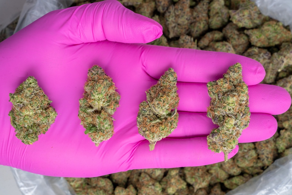Mendo Breath Indoor