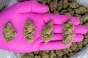Mendo Breath Indoor