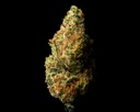 Mendo Breath Indoor