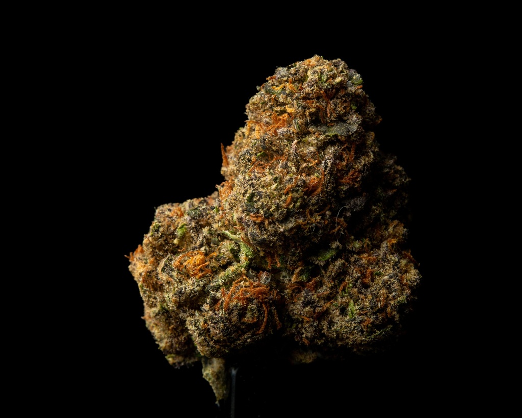 Georgia Pie X Gastro Pop Indoor