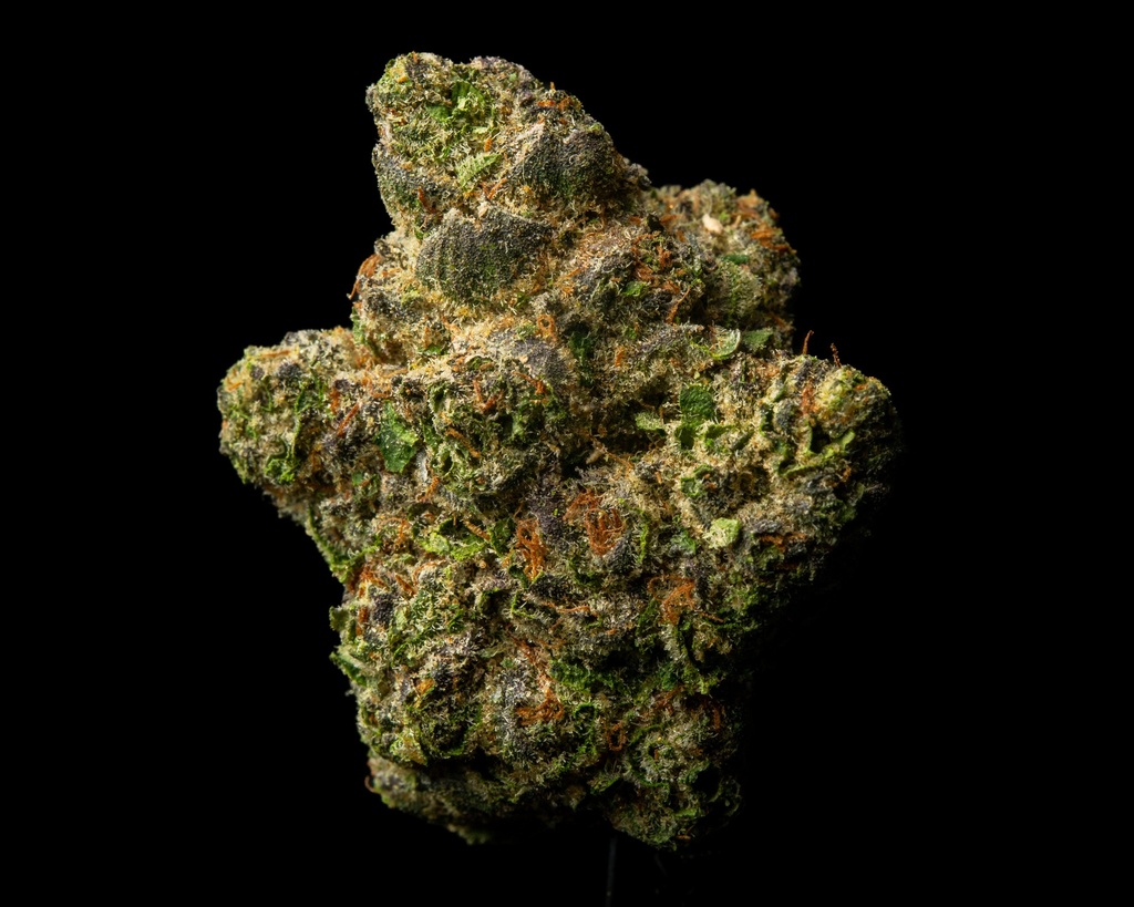Stardawg Guava Indoor