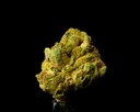 Apple Fritter Smalls