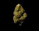 Space Kush