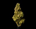 Maui Wowie