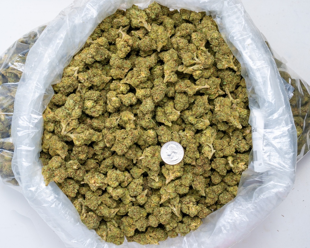 Bubble Gum (THCA)