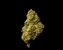 Bubble Gum (THCA)