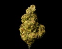 Ghost Train Haze