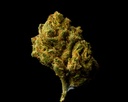 Vater Cookies Smalls