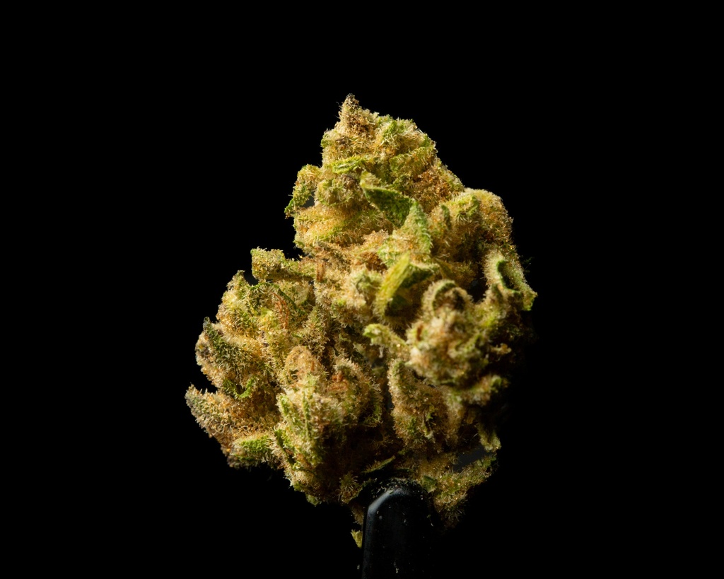 Bubble Gum (THCA) Smalls