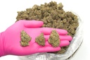 Z Runtz Indoor
