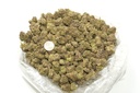Gumbo Indoor