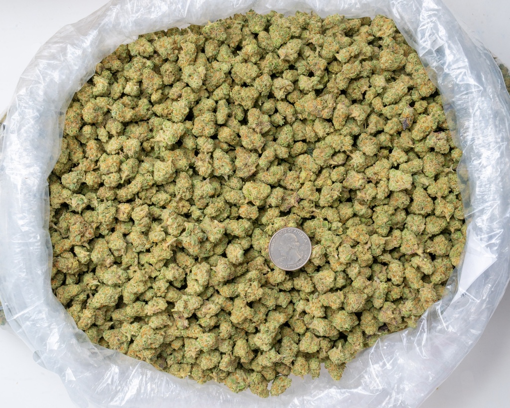 Sundae Driver Indoor Smalls