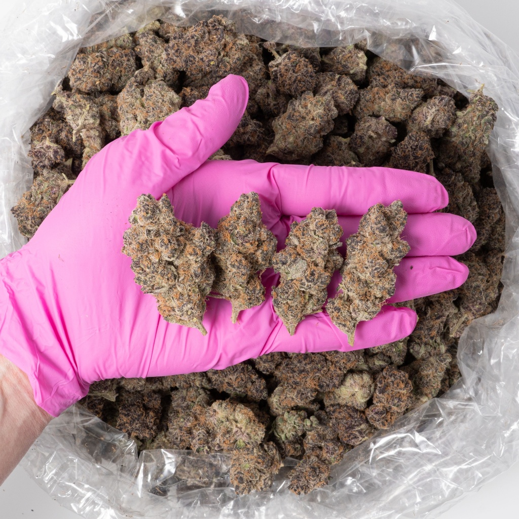 SUPER BOOF INDOOR