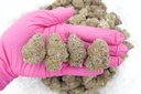 SUPER BOOF INDOOR