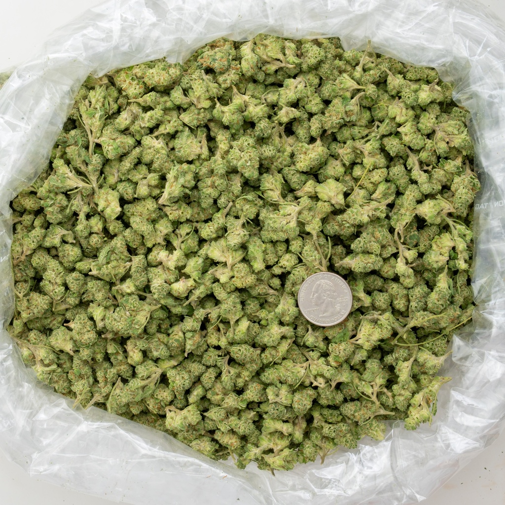 Bananaconda Indoor Smalls