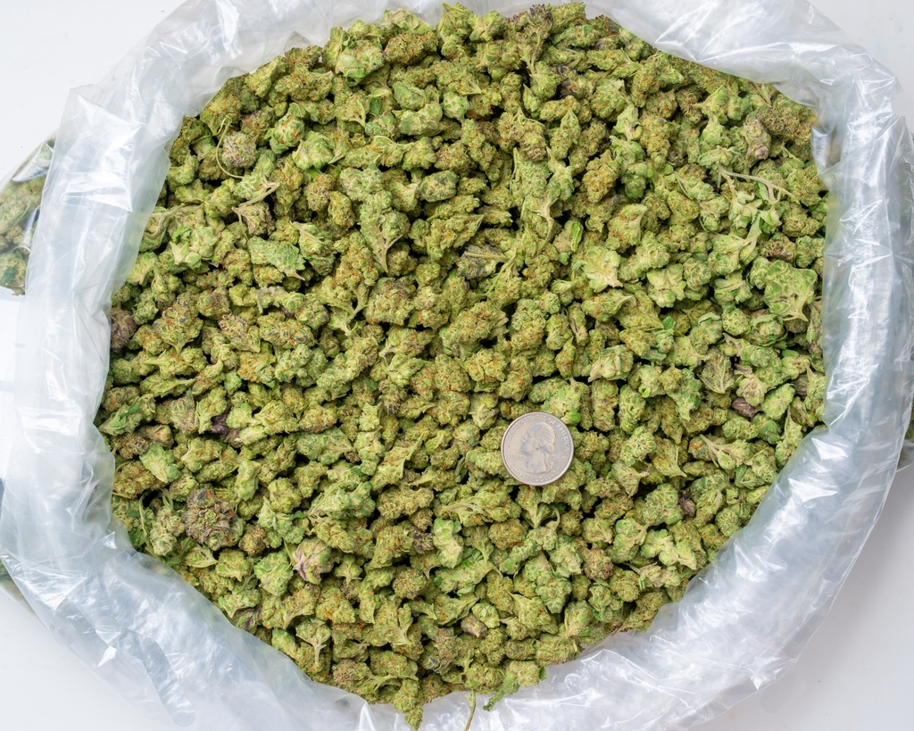 Bananaconda Indoor Smalls