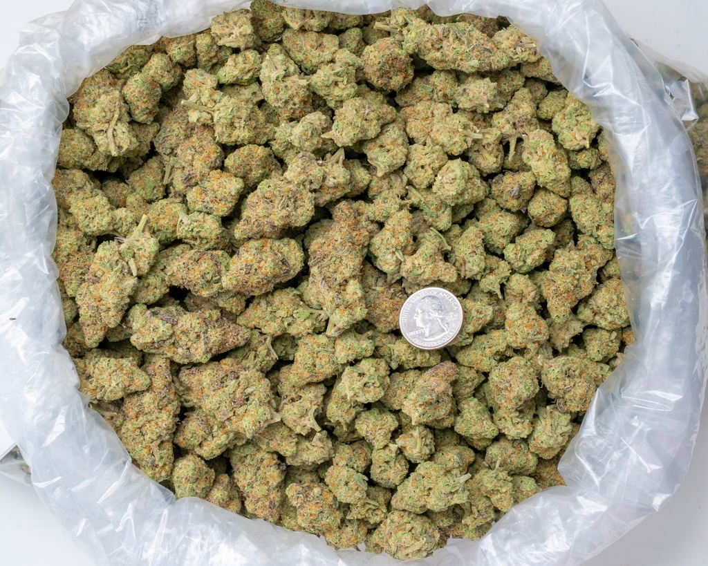 Sundae Driver Indoor