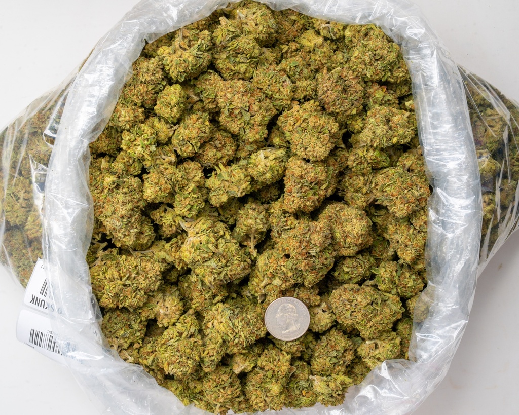 Sweet Island Skunk