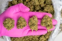 Sweet Island Skunk