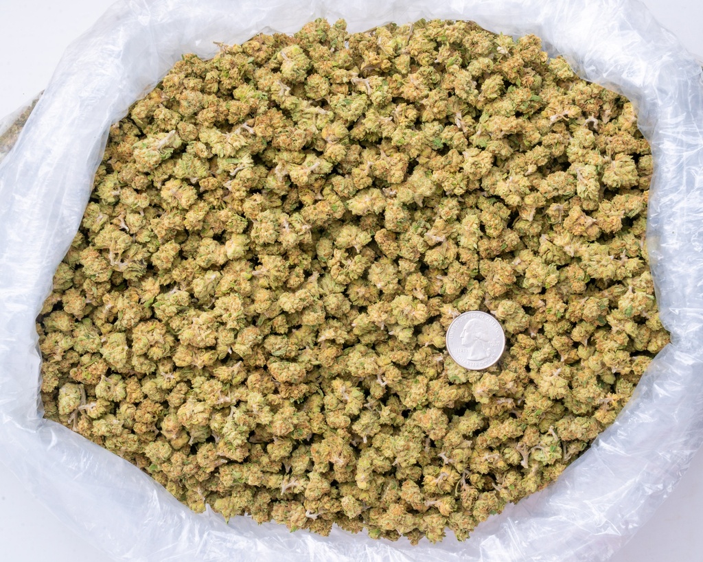 Jack Herer Smalls