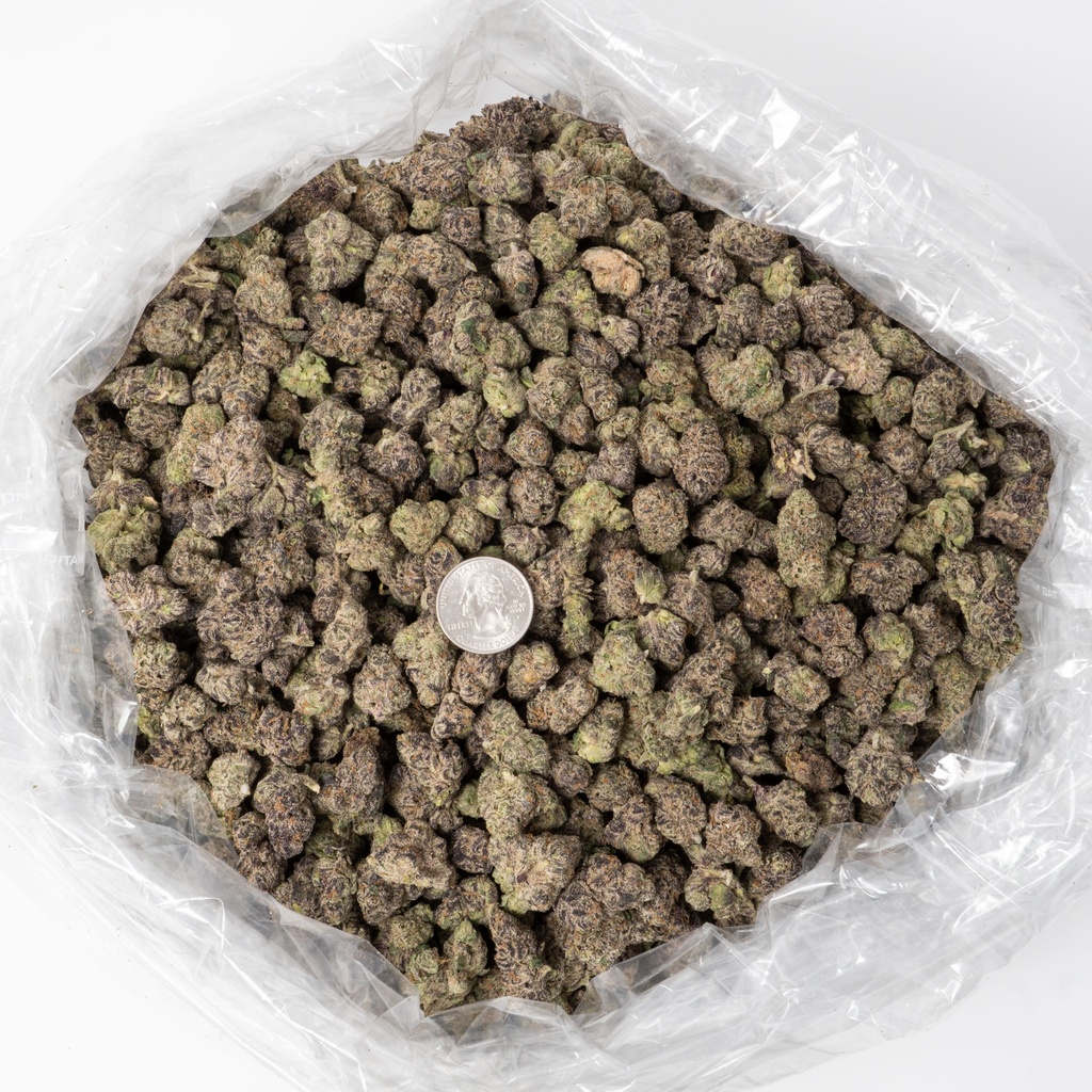 Blueberry Muffin Indoor Mediums