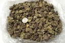 Blueberry Muffin Indoor Mediums