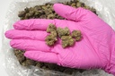 Blueberry Muffin Indoor Mediums