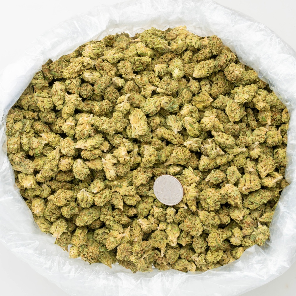 Royal Chemdawg Smalls