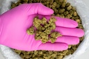 Royal Chemdawg Smalls