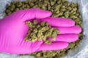 Royal Chemdawg Smalls