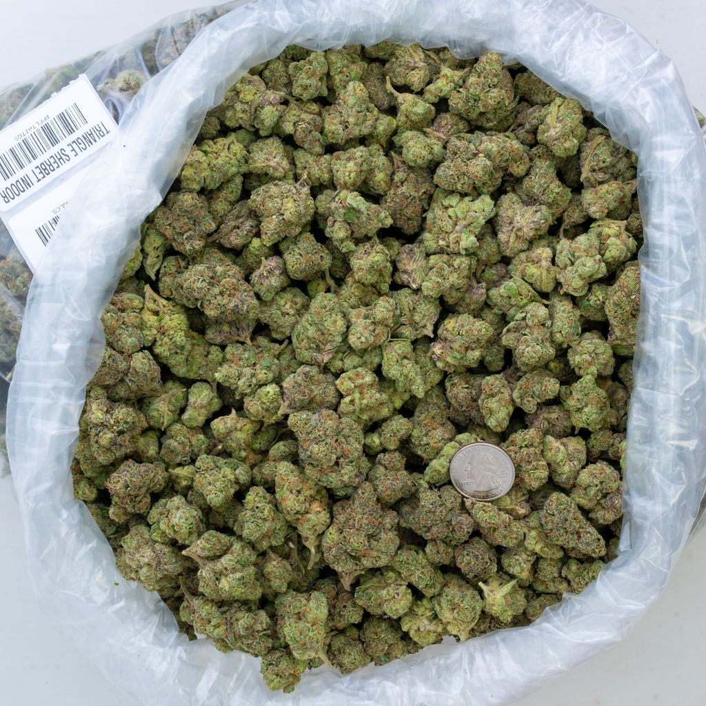 Triangle Sherbet Indoor