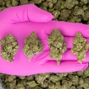 Triangle Sherbet Indoor