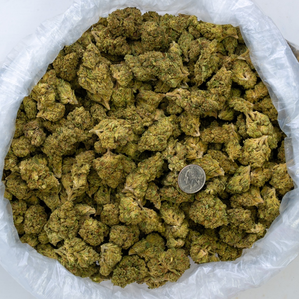 Goji OG